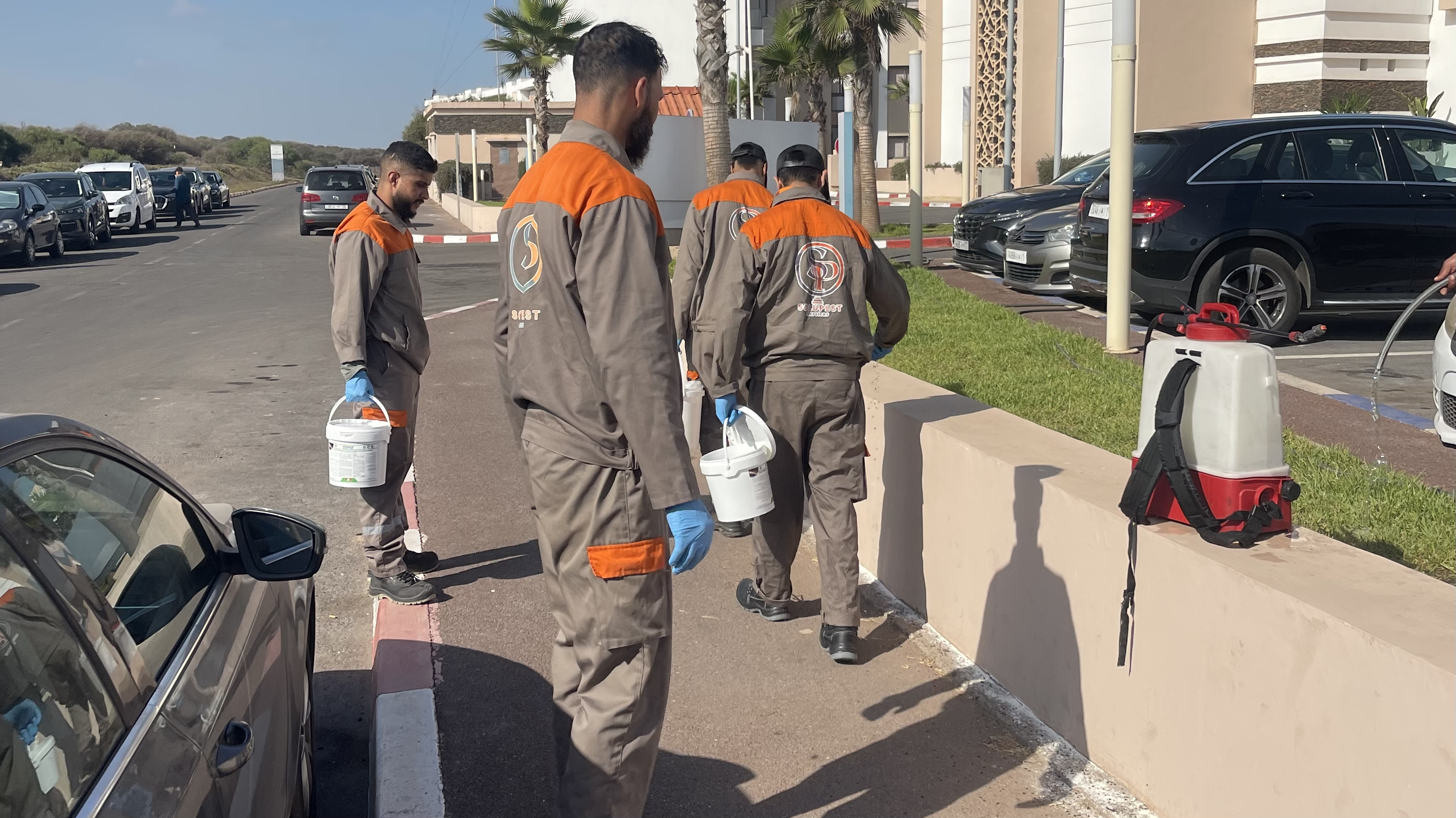 Intervention de déreptilisation Solupest